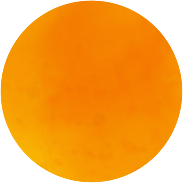 untitled design (2)